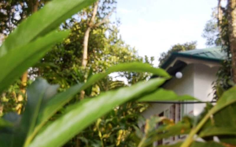 Koduveli Cottage, Idukki 3